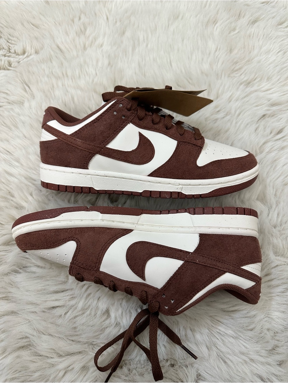 Nike Dunk Sneakers in Brown and White